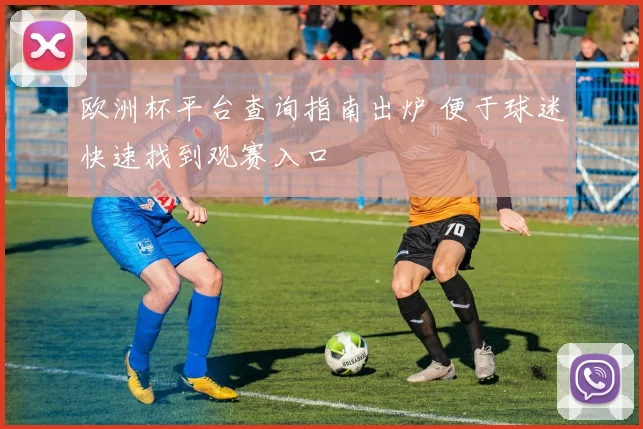 欧洲杯平台查询指南出炉 便于球迷快速找到观赛入口