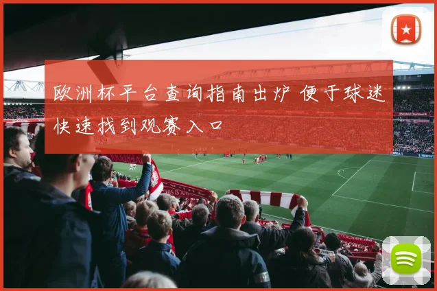 欧洲杯平台查询指南出炉 便于球迷快速找到观赛入口