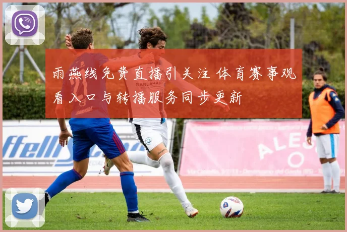 雨燕线免费直播引关注 体育赛事观看入口与转播服务同步更新