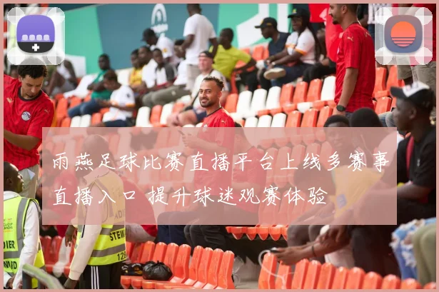 雨燕足球比赛直播平台上线多赛事直播入口 提升球迷观赛体验