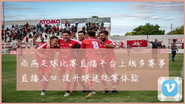 雨燕足球比赛直播平台上线多赛事直播入口 提升球迷观赛体验